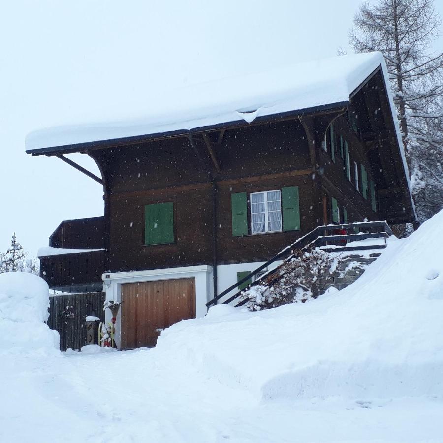 Chalet Gotthelf Gartenstudio, Ferien Mit Hund Adelboden Exterior foto